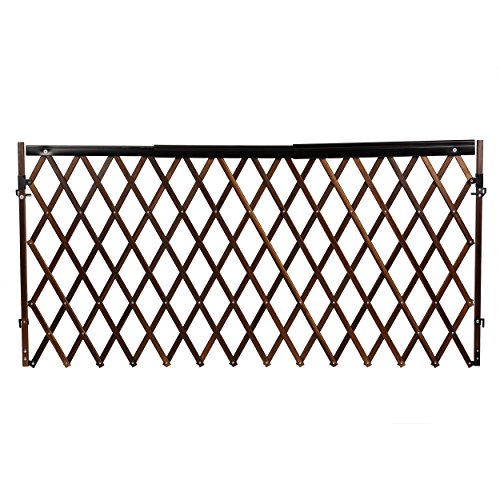 Evenflo Expansion Swing Wide Gate