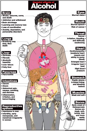 Buy Harmful Effects of Alcohol 24