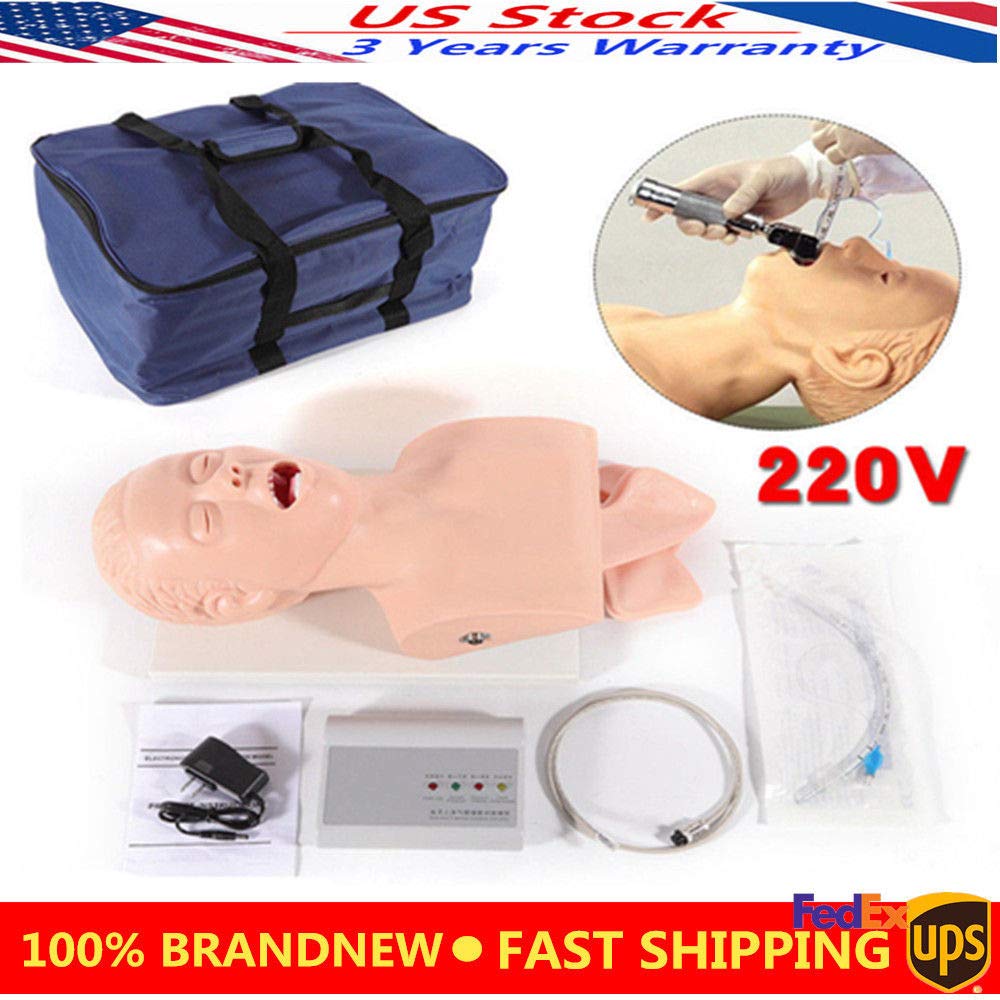 Buy 220V Intubation Manikin Study Teaching Model Airway Management ...