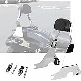 Detachable Sissybar Fits for Harley Sportster XL 1200/ Iron 883/ Forty-Eight/Seventy-Two Chop Style 2004-2022