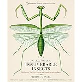 Innumerable Insects: The Story of the Most Diverse and Myriad Animals on Earth (Natural Histories)