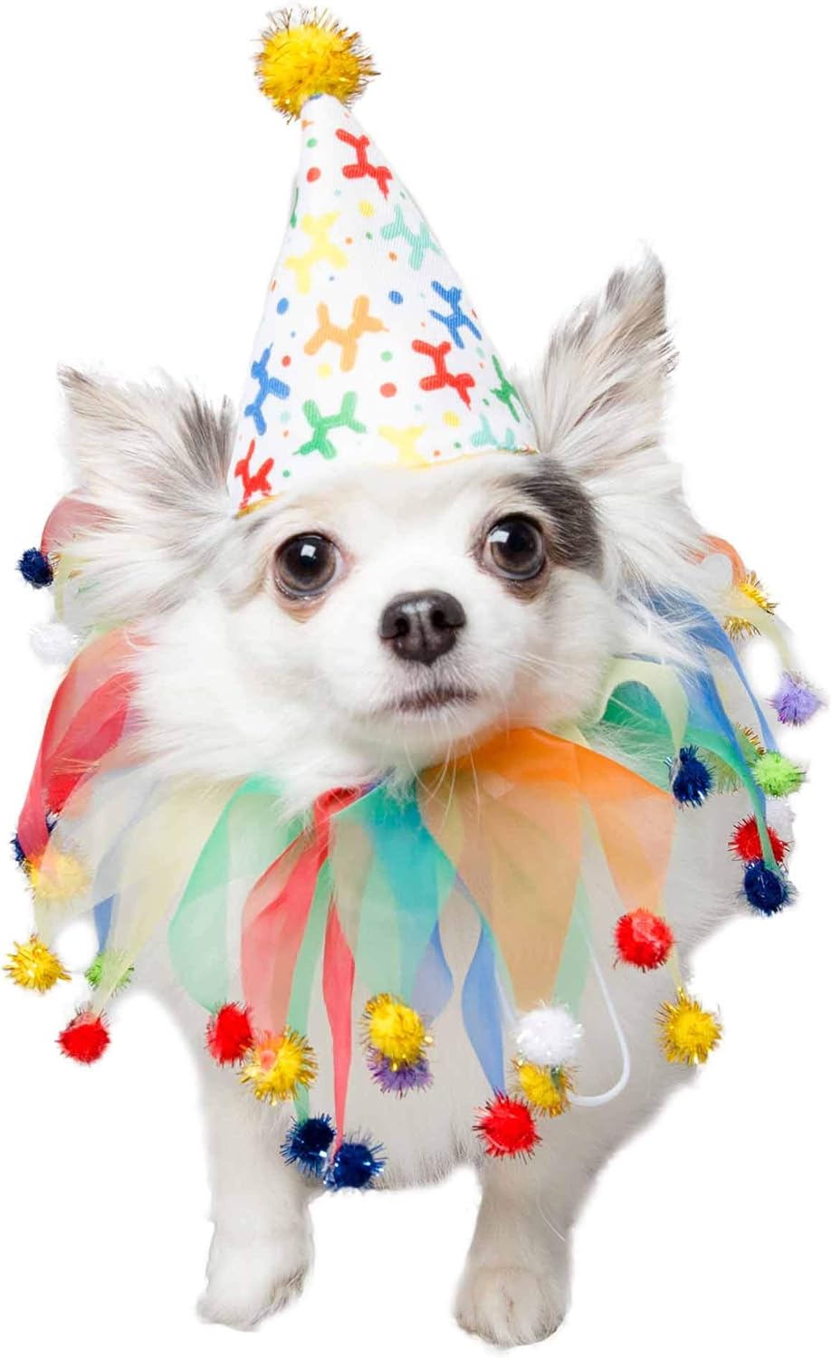 Amazon Com Pet Krewe Unleash The Parade Birthday Dog Collar Hat Pet Costume For Dogs 1st Birthday National Cat Day Celebrations Birthday Outfit For Small Medium Large