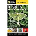 National Geographic Pocket Guide to Insects of North America