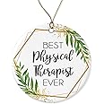 WolfeDesignPDD Physical Therapist Christmas Ornament - Gift for Physical Therapist - World's Best Physical Therapist - Best P