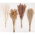 Dried Pampas Grass Decor, 100 Stems Pampas Grass Contains Bunny Tails Dried Flowers, Reed Grass Bouquet for Wedding Boho Flow