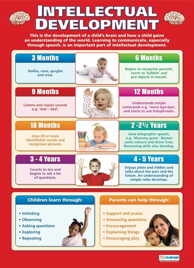 Intellectual Development | Child Development Posters | Gloss Paper ...