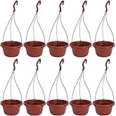 YARNOW 10 Pcs Plastic Hanging Planter 6.7 Inch Small Hanging Pots Plastic Hanging Baskets for Plants