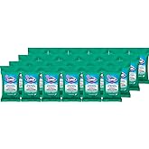 Clorox Disinfecting On The Go Travel Wipes, Fresh Scent, 9 Count, Pack of 24 (Package May Vary)