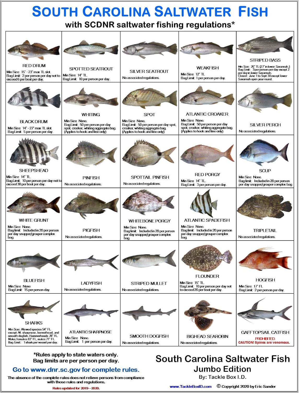 South Carolina Fish Identification Chart