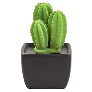 Lively Breeze Tri Cactus, Non-Electric Ceramic Diffusers for Essential Oils and Aromatherapy Fragrance, White Ceramic Diffusers in Car or Desk Office Decor and Small Bathroom at Home, Black Vase