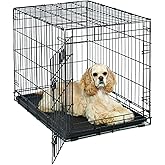 Medium Dog Crate | MidWest Life Stages 30" Folding Metal Divider Panel, Floor Protecting Feet, Plastic Tray 30L x 19W 21H Inc