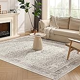 CocoHouse 8x10 Rug for Living Room - Area Rugs Home Decor for Bedroom, Washable Area Rug Living Room, Carpet Stain Resistant 