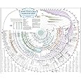 Amazing Bible Timeline with World History Bible Study Tool (Laminated)