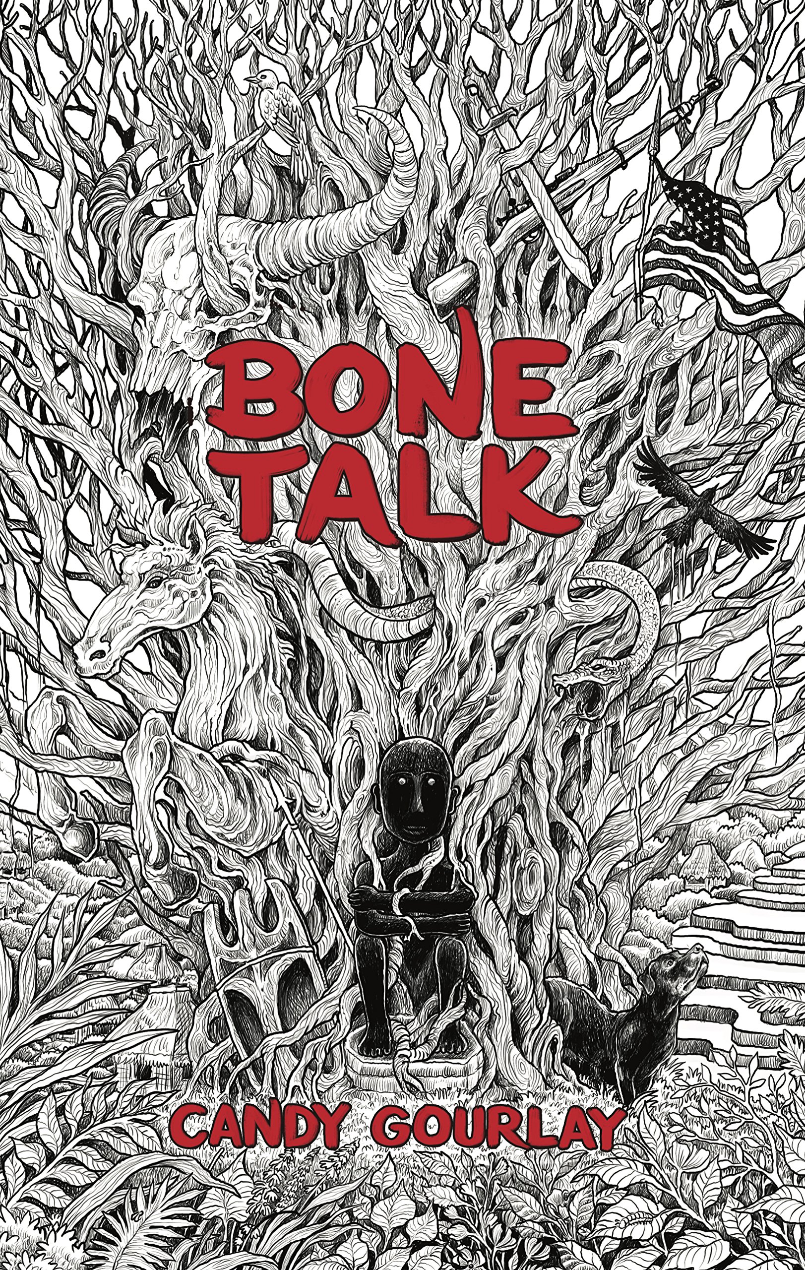 Image result for bone talk book