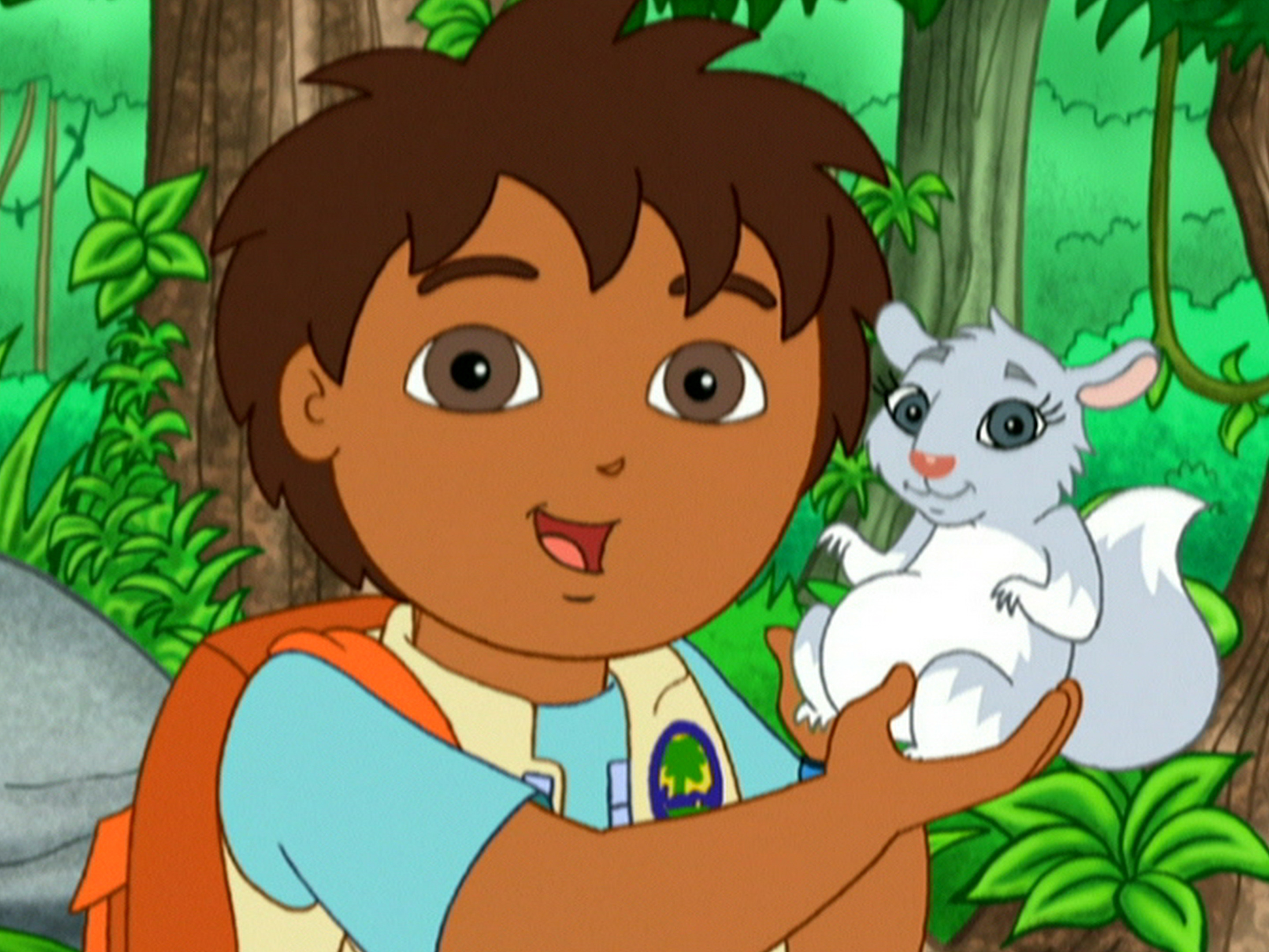 Go Diego Go Wallpaper