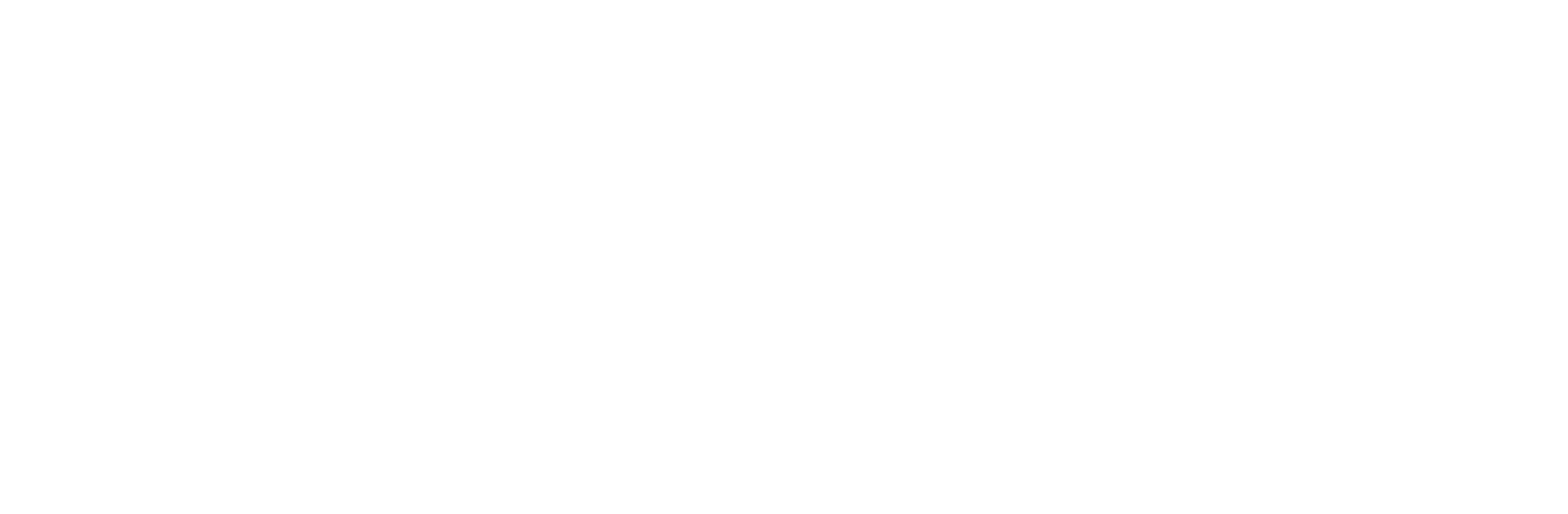 48050001 Loyola University New Orleans Logo