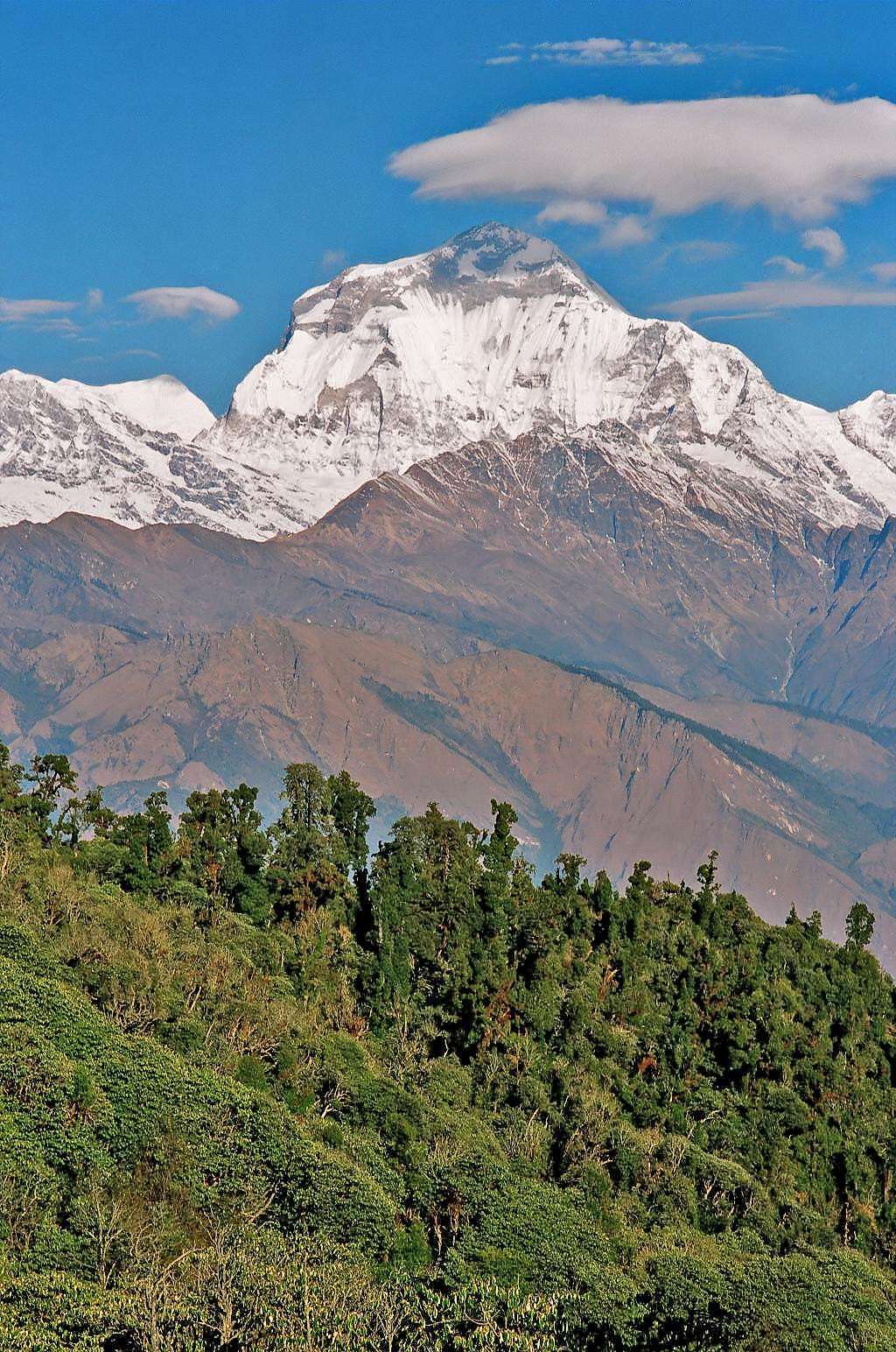 Dhaulagiri I