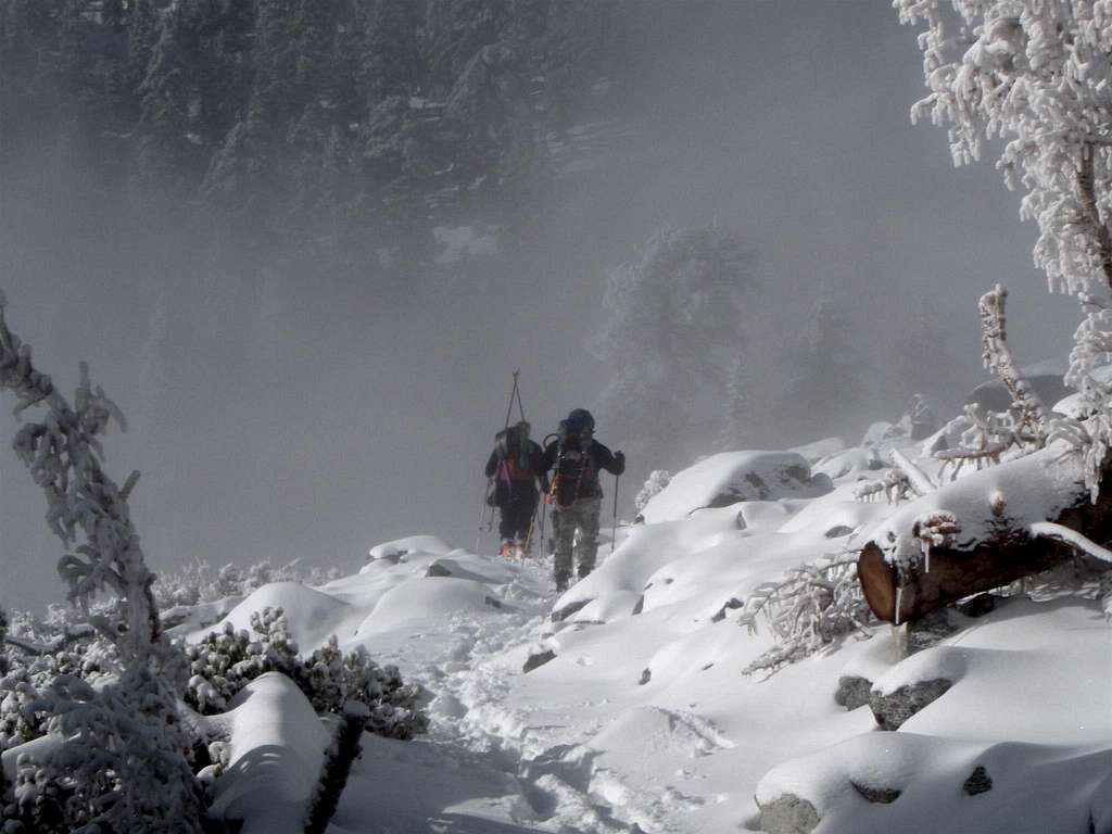 Mt. Baldy Snow Hike