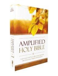 Amplified Outreach Bible, Paperback: Capture the Full Meaning Behind the Original Greek and Hebrew (Copyright 2015)