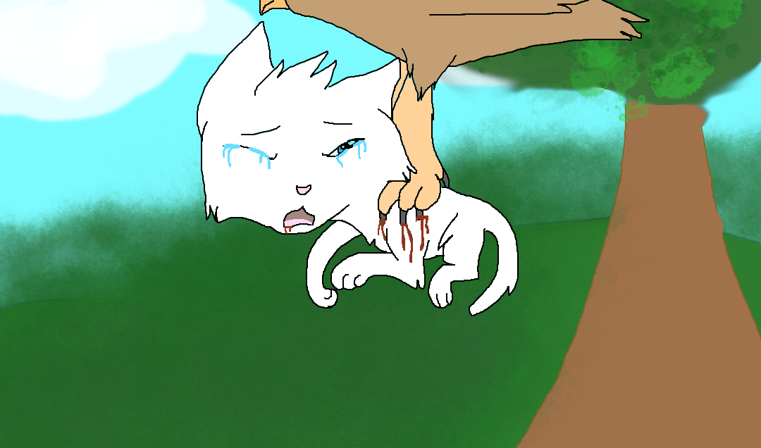 Sad Warrior Cats