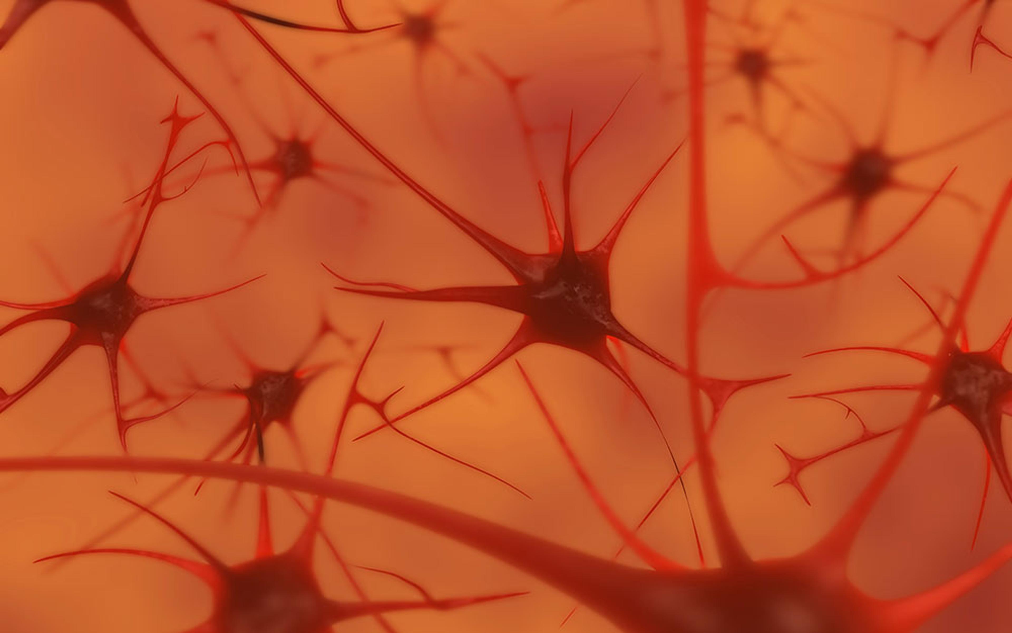 Illustration of interconnected neurons with red, spiky dendrites on a blurred orange background.