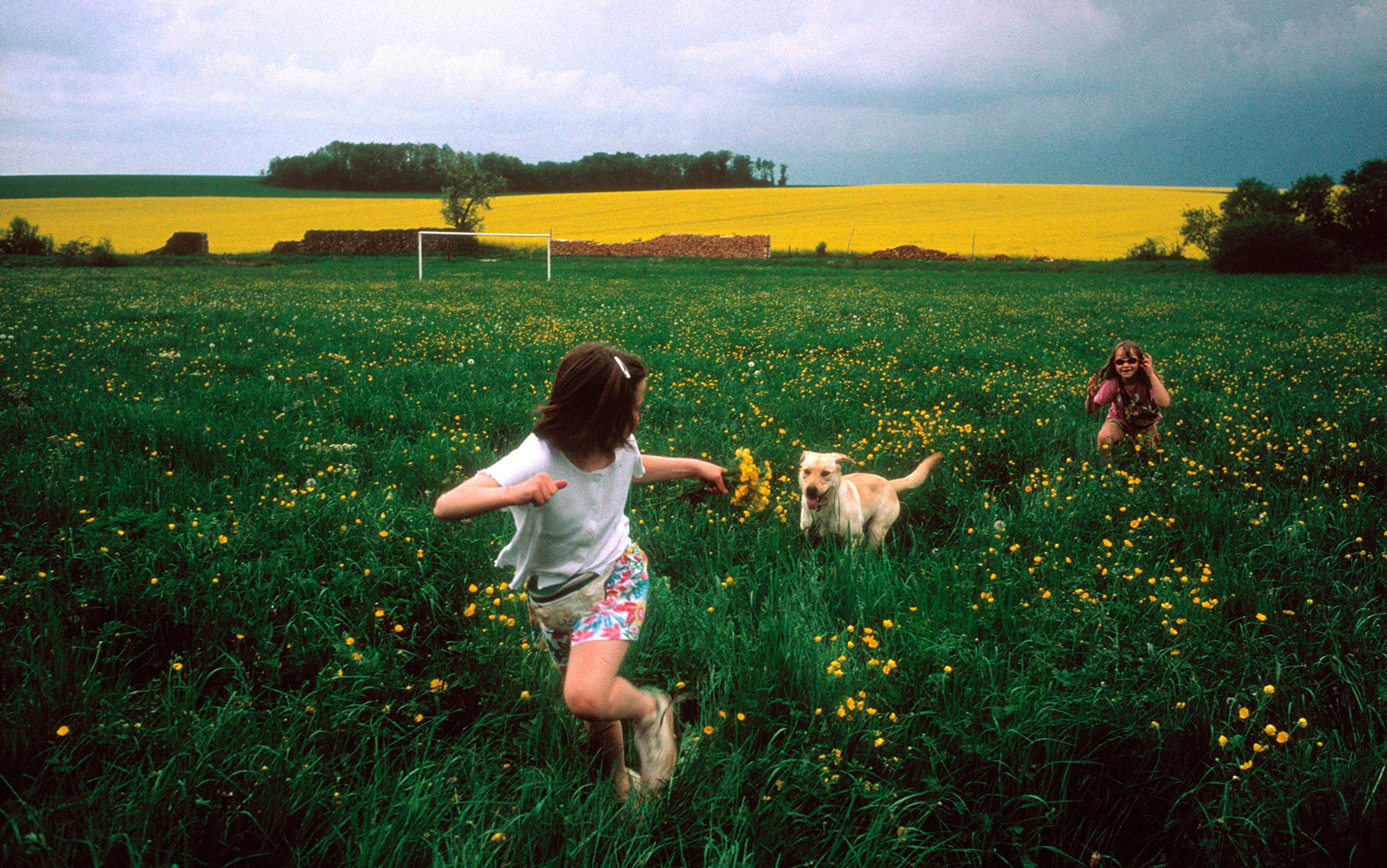 Two children playing with a dog in a green field with yellow flowers, a goalpost and a yellow field in the background.