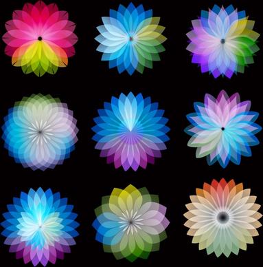 color wheel flowers