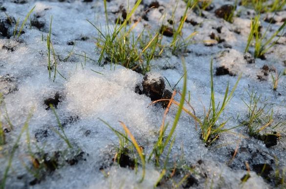 first winter snow