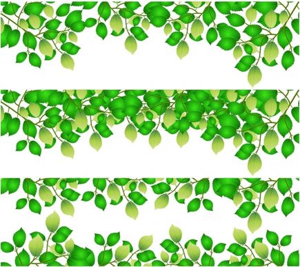 Horizontal leaf backgrounds