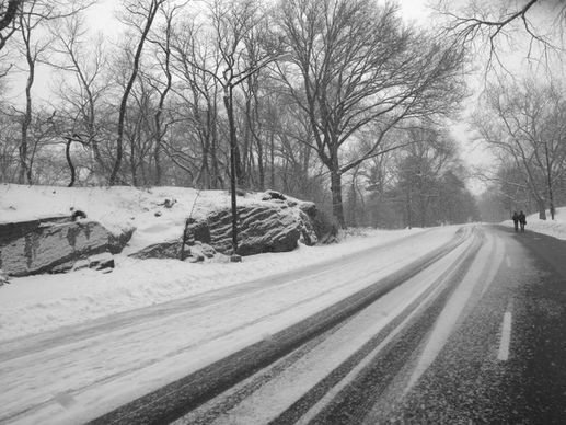 landscape winter snow