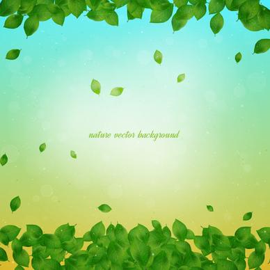 nature leaf background