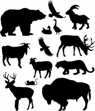 North American Animals