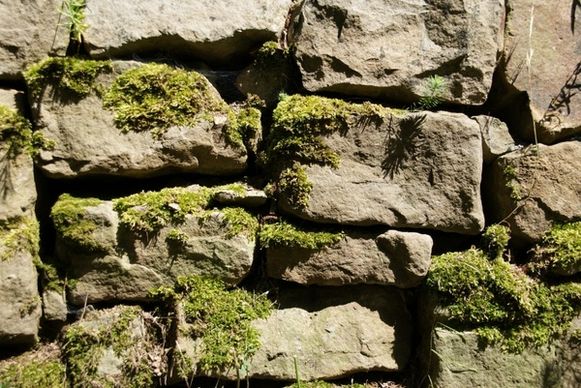 stones stone macro