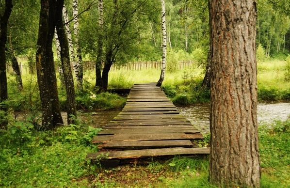 the bridge over the river