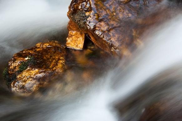 wet rock in river