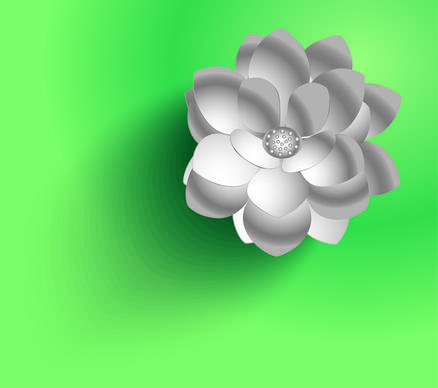 white flower