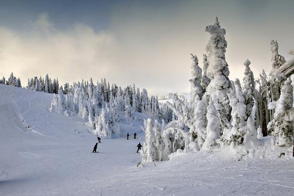 winter snow outdoor