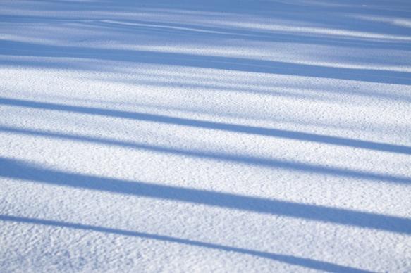 winter snow shadows