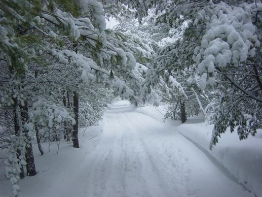 winter snow storm