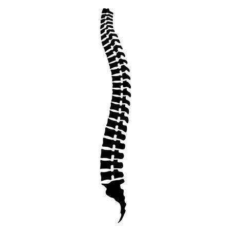 spinal column - Royalty Free Stock Illustrations and Vectors - Stocklib