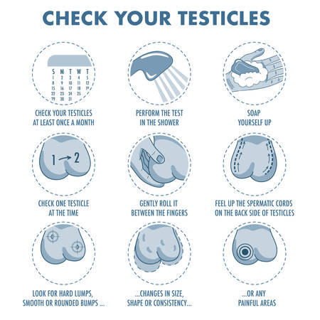 Self Testicular Exam : Resources Miu Men S Health Foundation - It ...