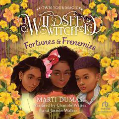 Fortunes & Frenemies Audibook, by Marti Dumas