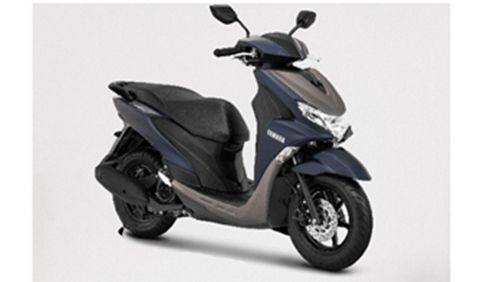 2021 Yamaha FreeGo S