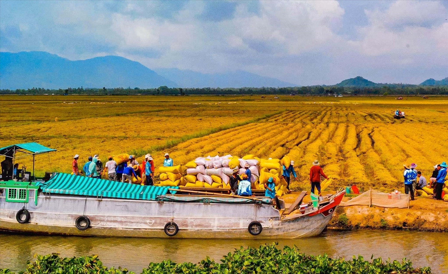 (Chuyên đề Thông tin đối ngoại) Để vùng Đồng bằng sông Cửu Long phát triển xứng tầm