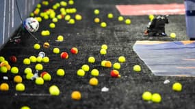 Les balles de tennis lancées à Angers en plein match de Ligue 1, 9 novembre 2024