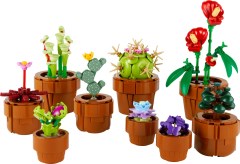 <h1>Tiny Plants</h1><div class='tags floatleft'><a href='/sets/10329-1/Tiny-Plants'>10329-1</a> <a href='/sets/theme-Icons'>Icons</a> <a class='subtheme' href='/sets/subtheme-Botanical-Collection'>Botanical Collection</a> <a class='year' href='/sets/theme-Icons/year-2024'>2024</a> </div><div class='floatright'>©2024 LEGO Group</div>