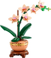 <h1>Mini Orchid</h1><div class='tags floatleft'><a href='/sets/10343-1/Mini-Orchid'>10343-1</a> <a href='/sets/theme-Botanicals'>Botanicals</a> <a class='subtheme' href='/sets/subtheme-Botanical-Collection'>Botanical Collection</a> <a class='year' href='/sets/theme-Botanicals/year-2025'>2025</a> </div><div class='floatright'>©2025 LEGO Group</div>