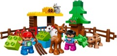 <h1>Forest: Animals</h1><div class='tags floatleft'><a href='/sets/10582-1/Forest-Animals'>10582-1</a> <a href='/sets/theme-Duplo'>Duplo</a> <a class='subtheme' href='/sets/subtheme-Forest-Animals'>Forest Animals</a> <a class='year' href='/sets/theme-Duplo/year-2015'>2015</a> </div><div class='floatright'>©2015 LEGO Group</div>