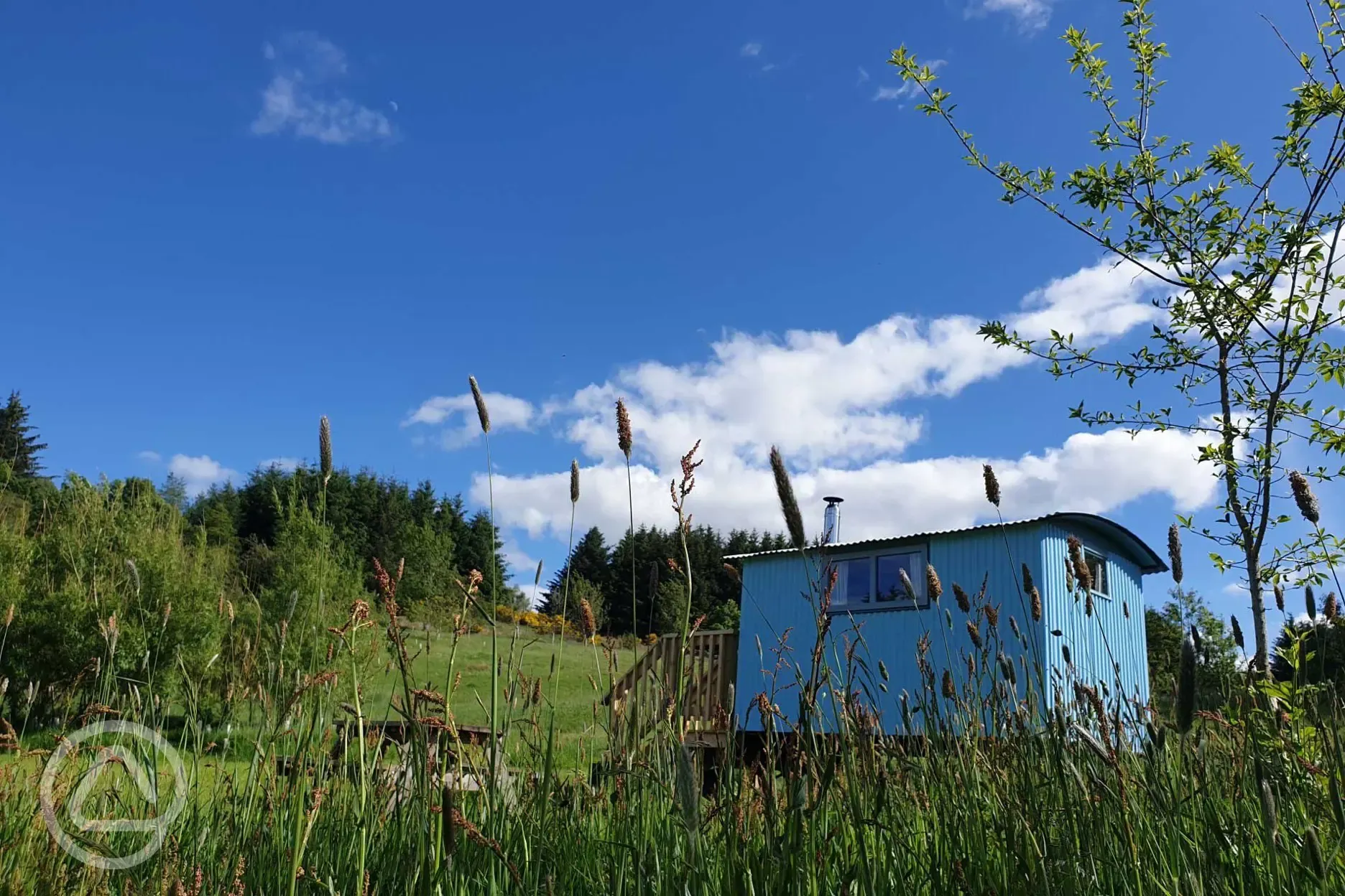 Blackberry hut