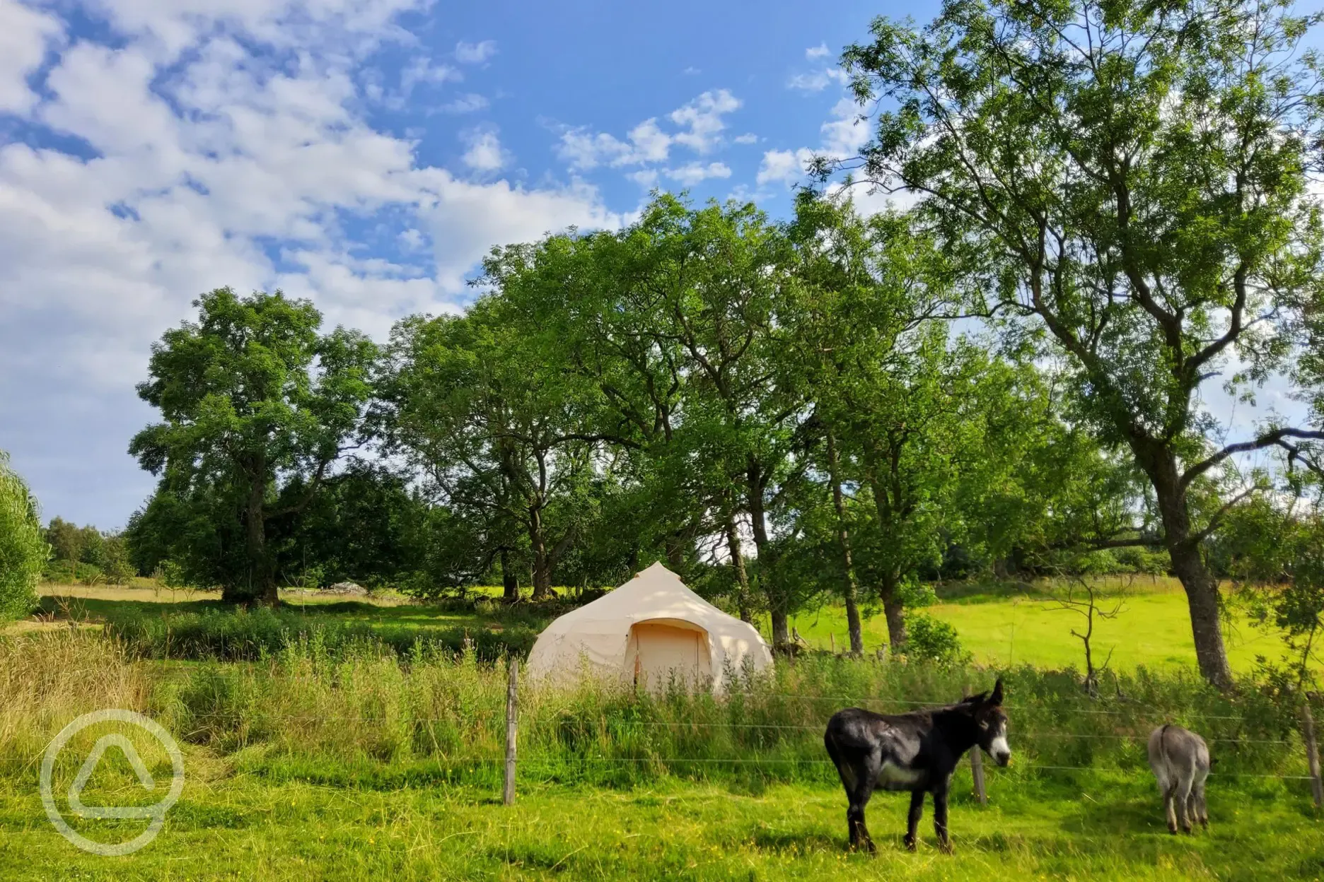 Bell tent